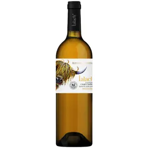 MARQUE IALACH VIN SEC ET BLANC FRANÇAIS FABRIQUÉ EN FRANCE NATUREL TRADITIONNEL DOMAINE CHAMP CHAPRON