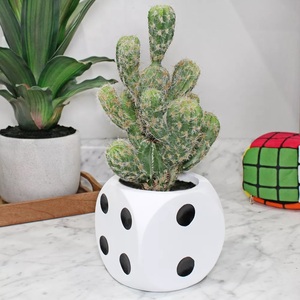 Jardinière et pots de fleurs de table Trending Dice Design Meilleures ventes Jardinière et pots décoratifs intérieurs à bas prix - Product Image 3