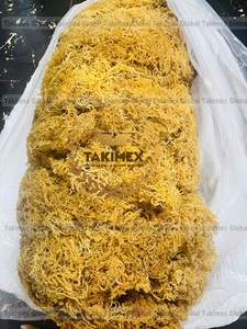 มอสทะเล/สาหร่ายอบแห้ง100% ธรรมชาติตะไคร่น้ำทะเลสีทองจากเวียดนาม - Product Image 3