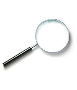 Micrometer Handheld <b>Magnifier</b> with Premium Brass Framed <b>Magnifying</b> <b>Glass</b> with Hand-carved Bone Handle - Product Image 3