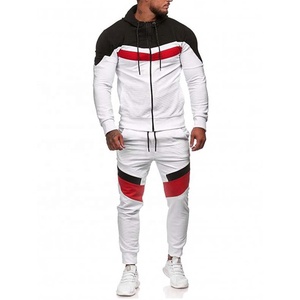 Chándal de 2 Piezas para Hombre, Talla Grande, con Logotipo Personalizado del Fabricante, Estampado, Transpirable, Ecológico, Antiestático, Sudadera con Capucha al por Mayor - Product Image 5