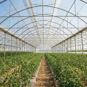 Invernadero de Túnel Resistente para la Producción de Bayas y Flores con Transmitancia de Luz Optimizada y Estructura Resistente al Viento - Product Image 5