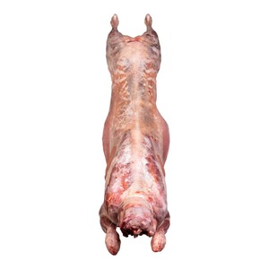 เนื้อแกะแช่แข็งทั้งหมดคุณภาพดีเยี่ยม - Product Image 6
