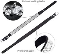 Couronne strass Bling daim doux femme bijou chien chat colliers pour chiot fille femme chaton