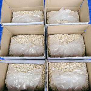 Proveedor Confiable de Nueces de Anacardo W180 W240 W320, Granos de Anacardo SANTIGO, Nueces de Anacardo al por Mayor a Precio Económico - Product Image 1