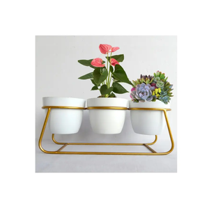 Mini jardinière succulente avec support en métal or naturel brillant poli décoration de jardin pot de fleur articles de décoration pour la maison - Product Image 5