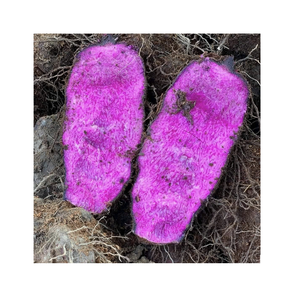 Vibrantes cubos de ñame morado: congelados y listos para Postres, batidos y platos dulces creativos. - Product Image 2