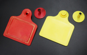 Prix usine Rfid Animal tag UHF Puce Pour Bovins Vache Mouton Étiquette D'oreille - Product Image 4
