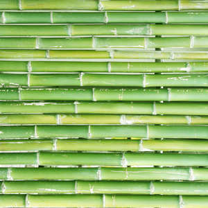 Pôles de construction en bambou de grand diamètre, traités sur mesure pour le soutien structurel, vente en gros - Product Image 1