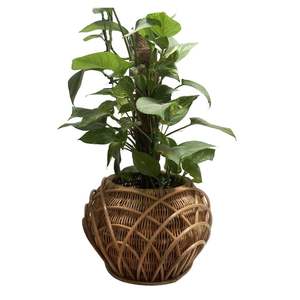 Jardinières faites à la main design et taille personnalisés jardinières décoratives jardinières en filet de rotin pots de fleurs pour la plantation intérieure et extérieure - Product Image 1