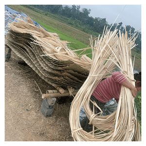 Colorful Bamboo <b>Strips</b> Bamboo weaving <b>strips</b> with colorful finish for handmade décor and creative crafts Vietnam - Product Image 4