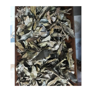 Wholesale Dried Soursop Leaves With High Quality and Best Price From Vietnam for Export With Good Price - Product Image 2