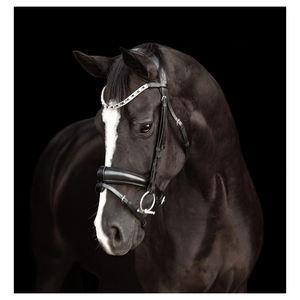 บังเหียนหนังสีดำสำหรับแข่งขี่ม้าอานาสตาเซียลูเมีย - Product Image 5