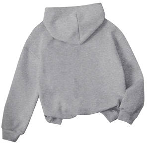 Haute qualité poids lourd surdimensionné pour bouffée impression sweats à capuche hommes goutte épaule Streetwear coton sweats hiver hommes sweats à capuche - Product Image 4