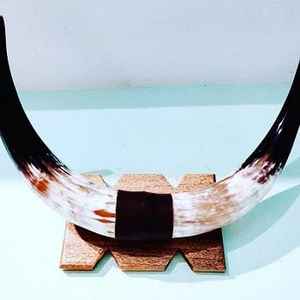 Cuerno montado en Búfalo, decoración rústica única para el hogar, cuerno de vaca, montaje en pared de India, estilo Animal de F S International - Product Image 1