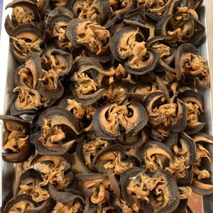 Escargots africains séchés pour l'exportation, viande d'escargot comestible naturelle, qualité excellente, transformation hygiénique, saveurs salées/acidulées/épicées/douces - Product Image 2