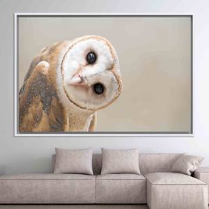 Elegante impresión gráfica de búho: obra de arte moderna en lienzo para decoración de loft, lienzo con marco blanco - Product Image 1