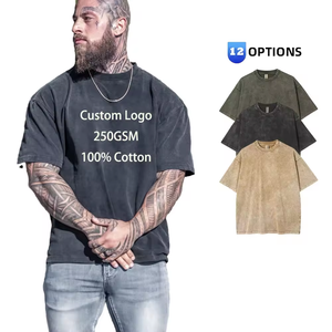 T-shirt streetwear en coton premium épais pour hommes, vente en gros, logo personnalisé, OEM - Product Image 1