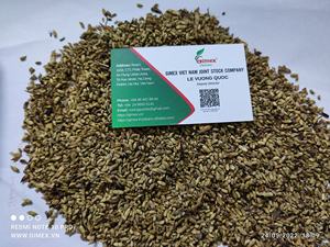 Extracto de Flor de Sophora Japonica Seca, Grado Premium, Origen Vietnamita, Marca GIMEX, para Agricultura, Fuente Rica en Rutina - Product Image 6