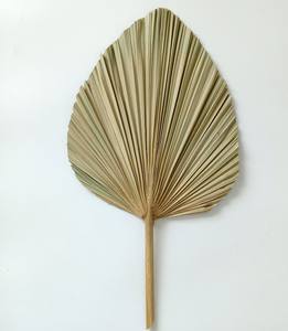 Meilleures ventes de feuilles de palmier séchées, décoration murale en feuille de palmier naturelle, décoration de mariage pour l'exportation - Product Image 6