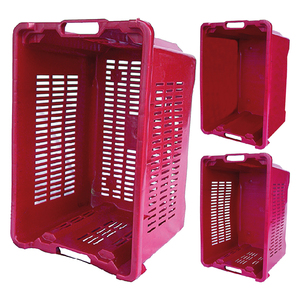 Cassetta in PVC Impilabile con Fori Laterali - Product Image 1