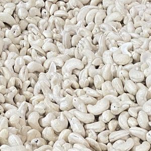 เม็ดมะม่วงหิมพานต์แห้งแบบ LWP สำหรับเก็บรักษา24เดือนจากเวียดนาม - Product Image 1