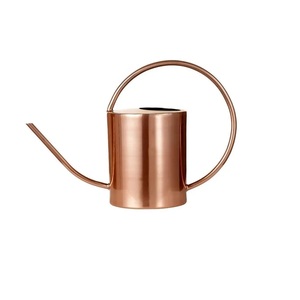 Pan-tone Green Water Planter <b>Cane</b> With Shiny Handle Unique Classic Designer Metal Eco Friendly Water Can Best Quality - Product Image 6