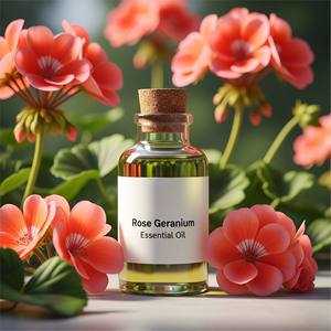 Aceite esencial de geranio rosa de etiqueta privada 100% puro para aromaterapia cuidado de la piel difusor de cuidado del cabello Aceite de Masaje - Product Image 3