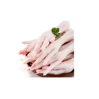 Approvisionnement en gros de pattes et griffes de poulet congelées, prêtes pour une exportation rapide