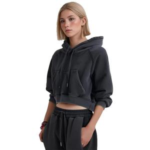 Automne et hiver femmes pull à capuche en soie Logo personnalisé multicolore pull en coton décontracté col à capuche - Product Image 3