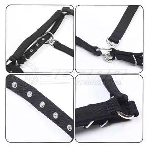 Licol de cheval en cuir de qualité supérieure Design artisanal Rembourrage doux Halters d'équitation pour un confort supplémentaire - Product Image 4