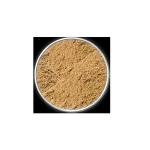 Farina di semi di cotone di buona qualità disponibile sfuso fresco a prezzo all'ingrosso con consegna veloce