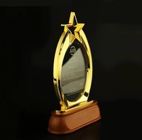 Trophées et plaques en forme de feuille en verre cristal étoiles claires personnalisées de haute qualité avec logo personnalisé