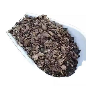 100% coquille de palmiste de déchets bon marché pur pour l'alimentation animale et l'engrais à vendre production prête pour l'exportation prix compétitif - Product Image 3