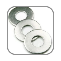 Stainless Steel Zinc Finish Split Style Washers Cheap Price Screw Bolts OEM Plastic Bags Made in Vietnam Factory Wholesale Bulk