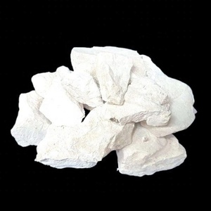 Lime Lump Burnt Lime Quick Lime CaO de alta calidad min 92% Vietnam Export Utilizado en metalurgia y minería - Product Image 1
