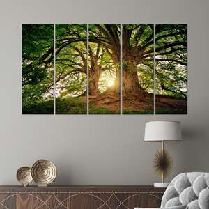 Tableau imprimé sur toile élégant : paysage forestier, vue sur la nature, toile enveloppée 5P - Product Image 1