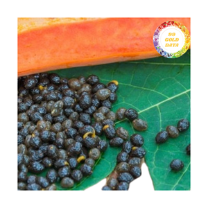 Graines de papaye séchées de haute qualité brutes et sans additif pour les assaisonnements culinaires et le traitement des extraits Commerce en vrac - Product Image 1