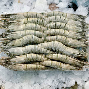 Vente en gros Crevettes blanches surgelées Premium Crevettes de mer rouges Crevettes tigres noires décortiquées Queue déveinée Hors exportation - Product Image 6