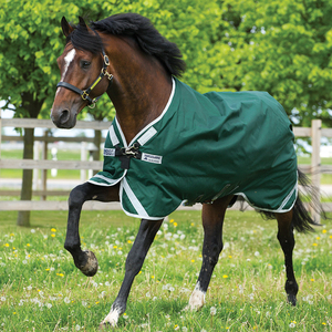 Manta de Invierno para Caballo, Impermeable y Transpirable, 1200D, para Doma Clásica, con Forro de Plumas, 2 Correas para las Patas, Ligera y de Lujo - Product Image 5