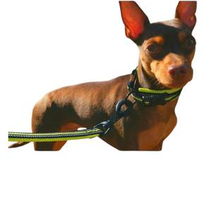 Laisse de chien réglable pour chiens de petite, moyenne et grande taille - Matériel en polyester, fournisseur vietnamien - Product Image 4