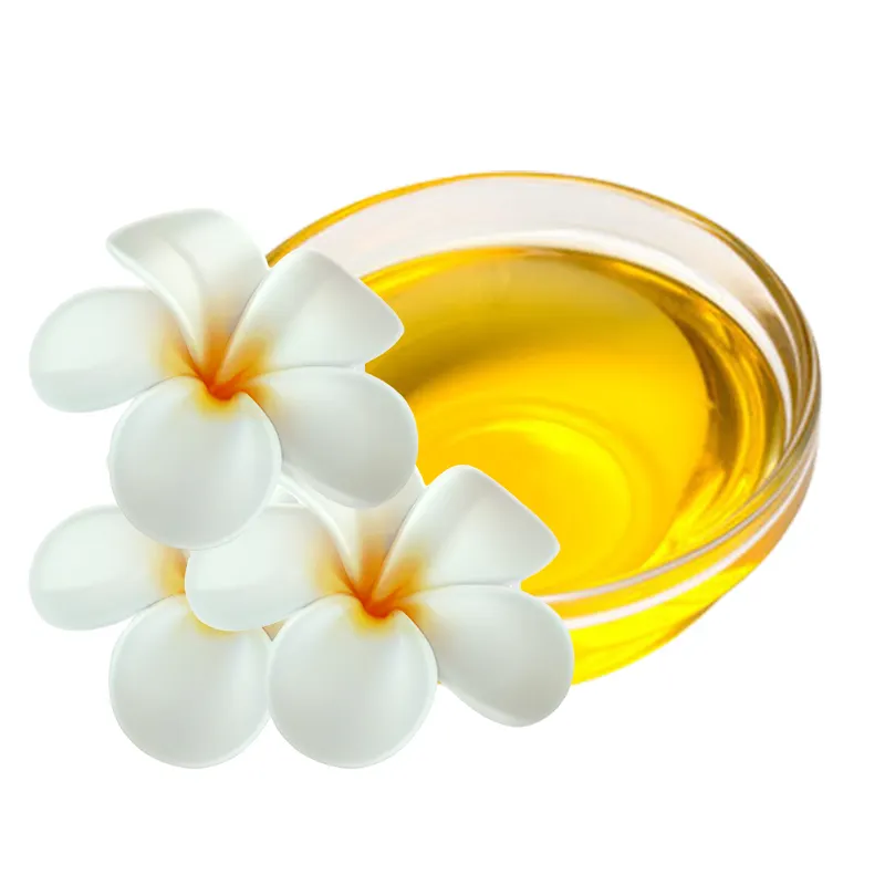 Pabrik Grosir Minyak Esensial Frangipani Murni dengan Kualitas Tinggi Pemasok Terpercaya Minyak Frangipani Di India