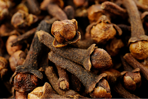 Gousses séchées vietnamiennes de qualité pour l'exportation-Cultivées de manière biologique, séchées avec soin, sans additifs/Mme Lima - Product Image 6