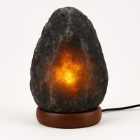 Lampe de sel de l'Himalaya noire naturelle sculptée à la main, polie, au toucher réel, ronde, purificateur d'air, décoration pour la maison, cadeau d'affaires, lumière