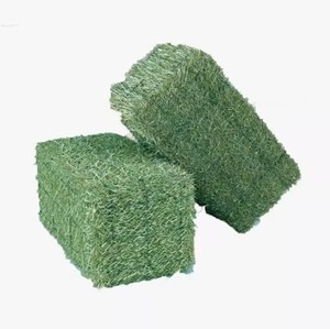 Meilleur prix vente sur la luzerne Timothy Hay Feed Premium Animal Feed pour Cheval Chien Bovins Moutons Aliments séchés dans un emballage en sac - Product Image 4