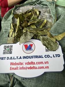 Hojas de Guanábana Secas Orgánicas, Hojas de Graviola, Calidad de Exportación de Vietnam/ Sra. Kana - Product Image 2