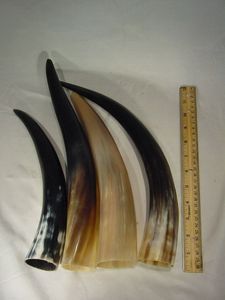 NATURAL ORIGINAL BULL Shot Beer Horn Drinking Cup Regalos para él Regalos Real Buffalo Drinking Horn Wine para la ocasión de Navidad - Product Image 3