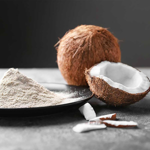 Leche de coco en polvo sin lácteos de la mejor calidad, precio competitivo, polvo de coco para comida vegana saludable - Product Image 2