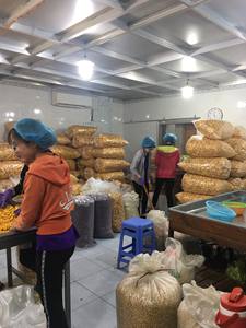 Vente en gros en vrac Fruit du jacquier séché croustillant Processus de séchage VF sans OGM sans sucre Goût naturel de haute qualité - Product Image 5