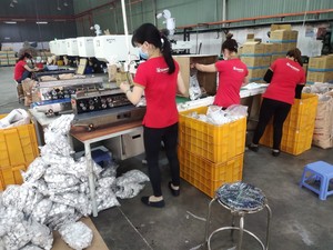 Conector de Caja de PVC Blanco, Tamaño de Rosca de 20 mm para Conducto Rígido de PVC - Conducto Eléctrico, Hecho en Vietnam, Material Plástico - Product Image 5